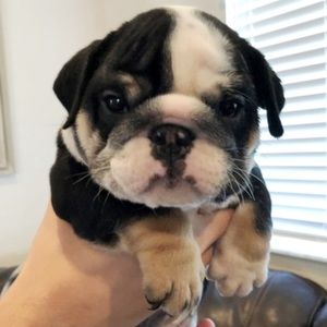 Meet your Posher, Maureen